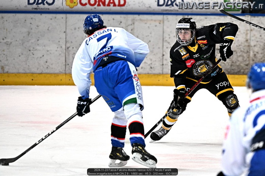 2024-11-23 Fassa Falcons-Mastini Varese 02517 Nicolo Fanelli